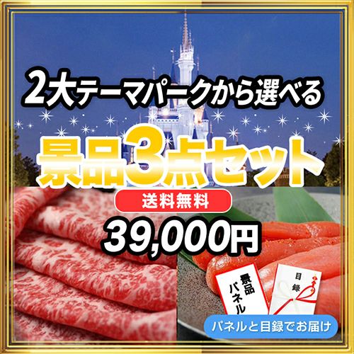 景品3点39,000円セット 内容：選べる2大テーマパークペアチケット,TDL