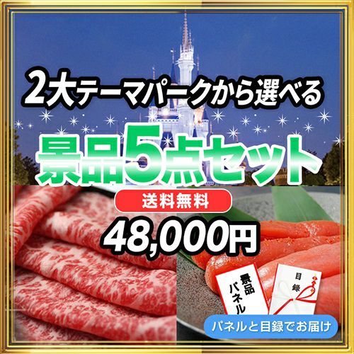 景品10点39,000円セット 内容：選べる2大テーマパークチケット